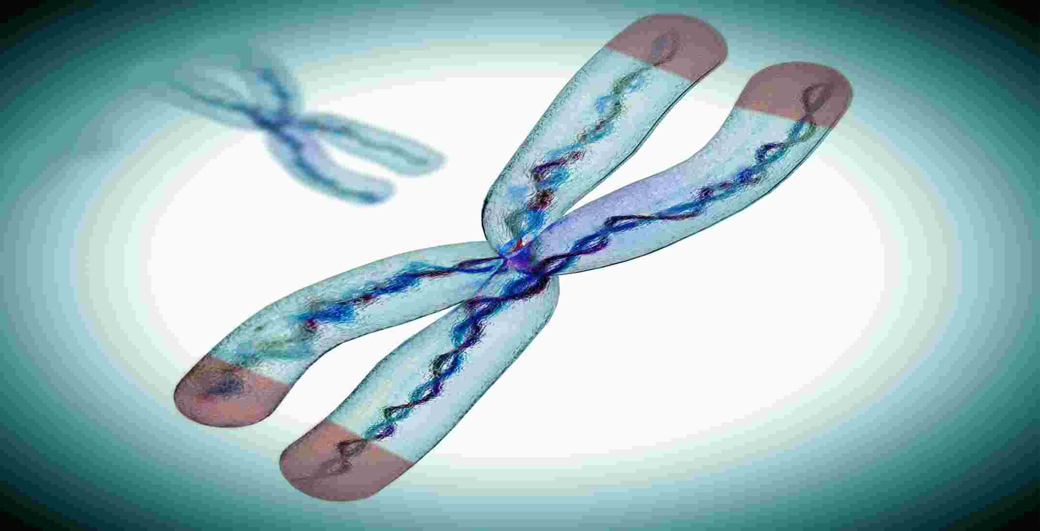 UK Biobank makes data from significant study of telomere length ...