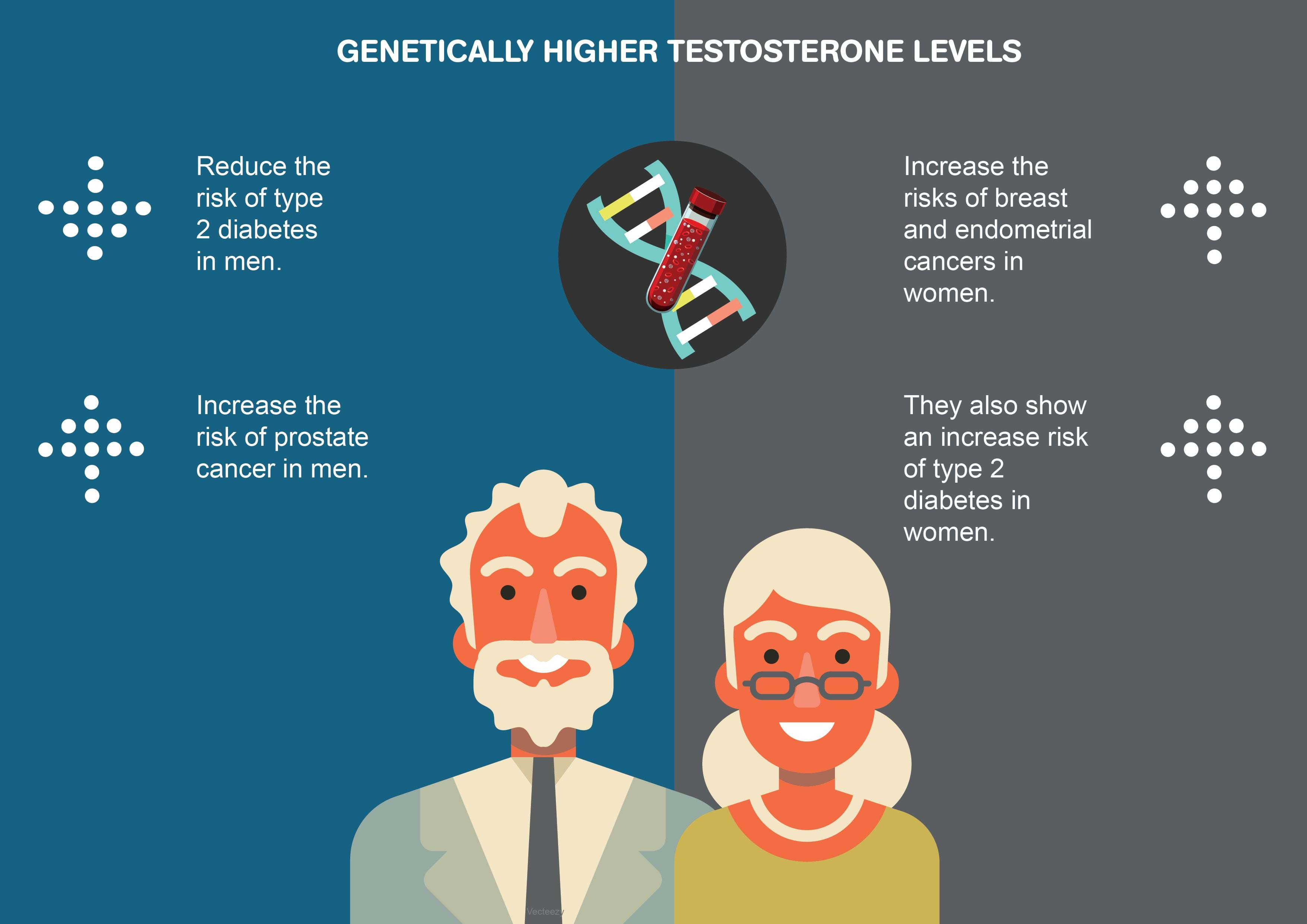 Testosterone Levels Affect Risk Of Metabolic Disease And Cancers 2608